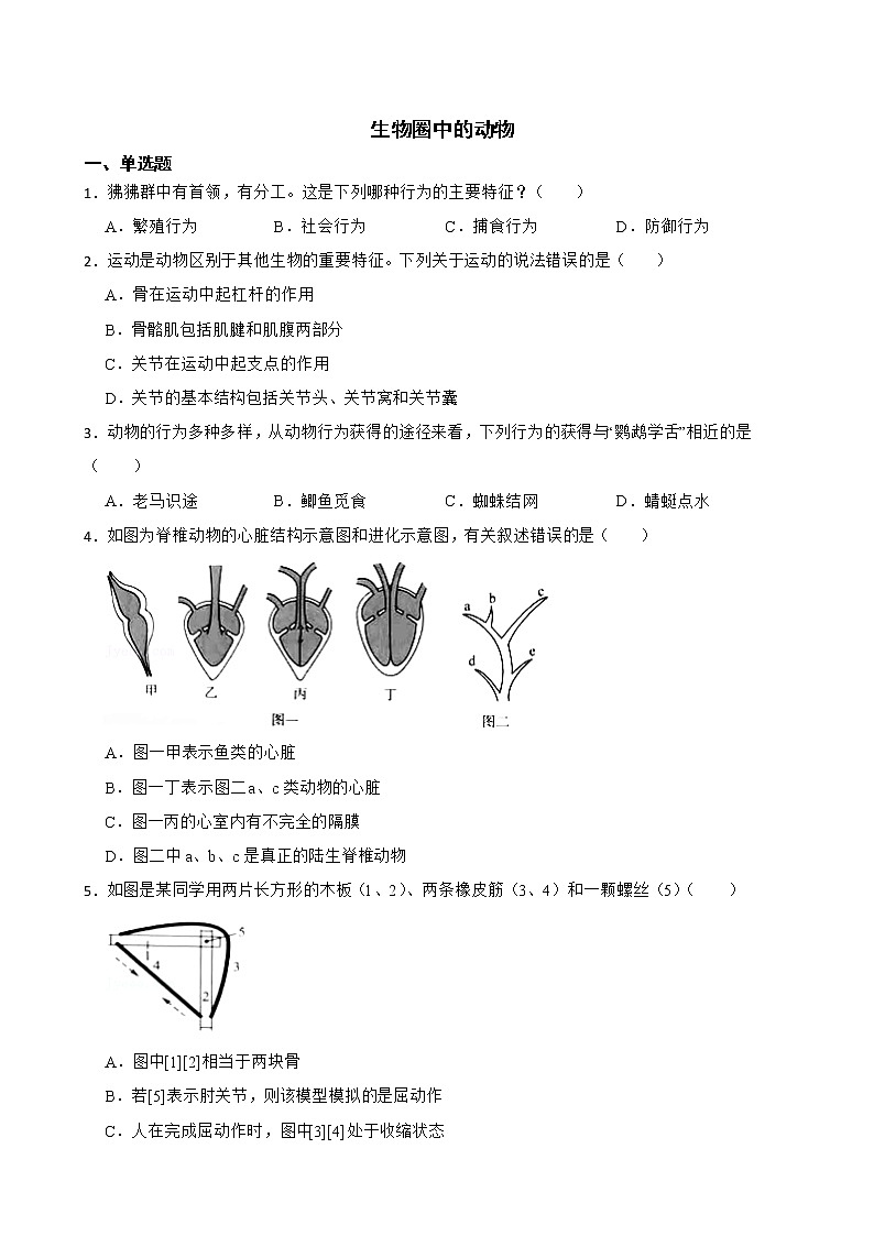 2021年山东省中考生物真题汇编 生物圈中的动物解析版01