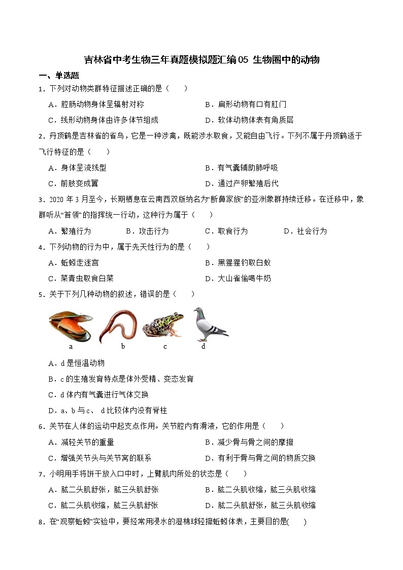 吉林省中考生物三年真题模拟题汇编 生物圈中的动物解析版01