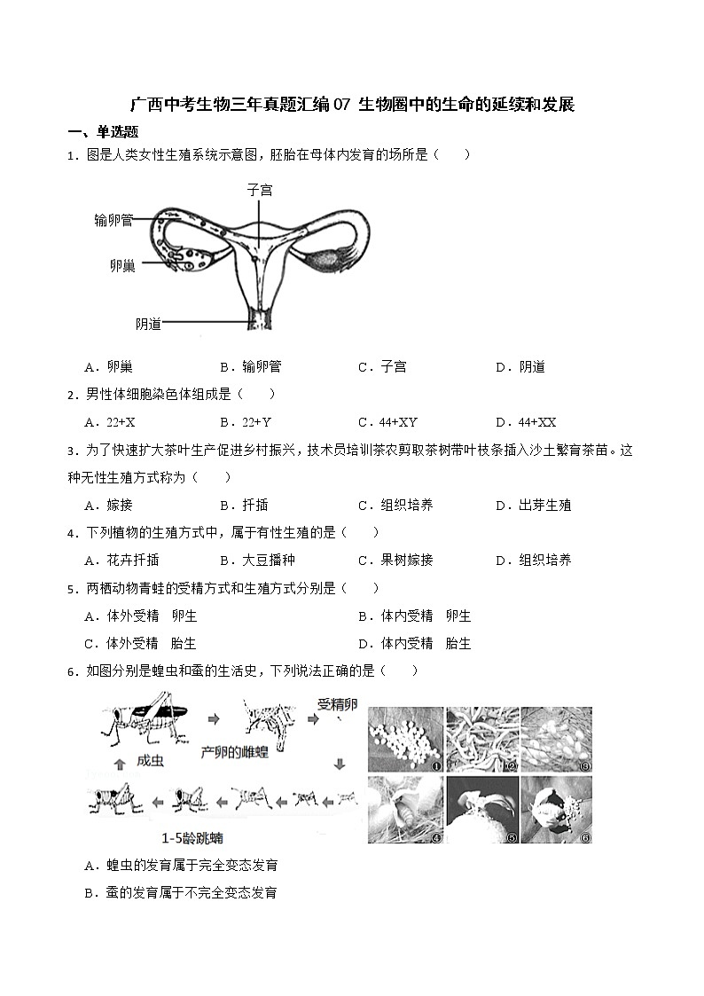 广西中考生物三年真题汇编 生物圈中的生命的延续和发展解析版01