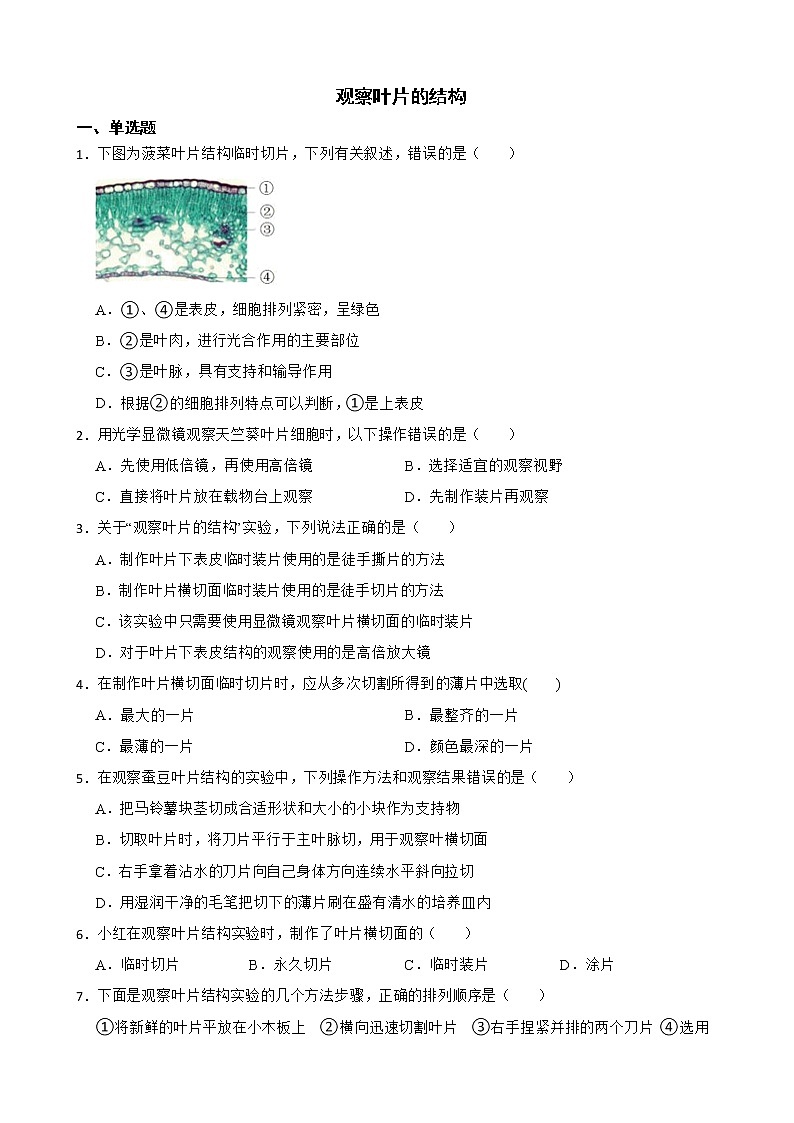 备考中考生物实验专项复习 观察叶片的结构解析版 练习01