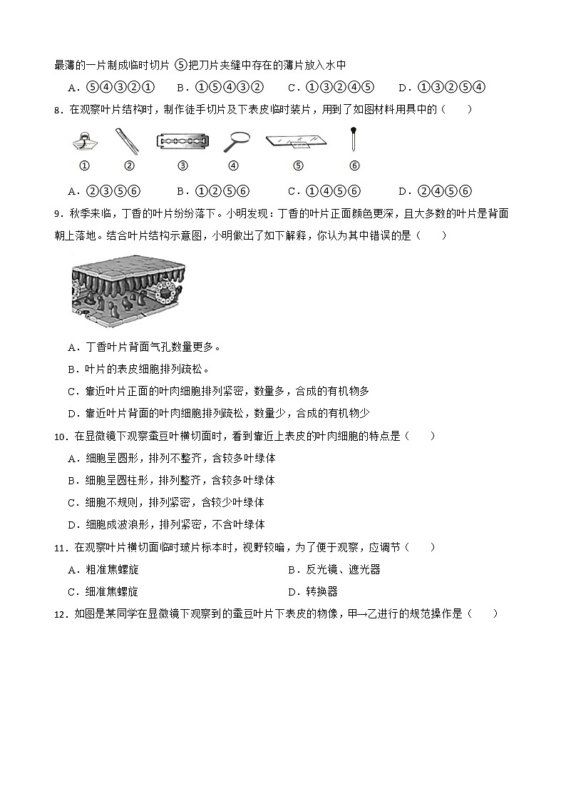 备考中考生物实验专项复习 观察叶片的结构解析版 练习02