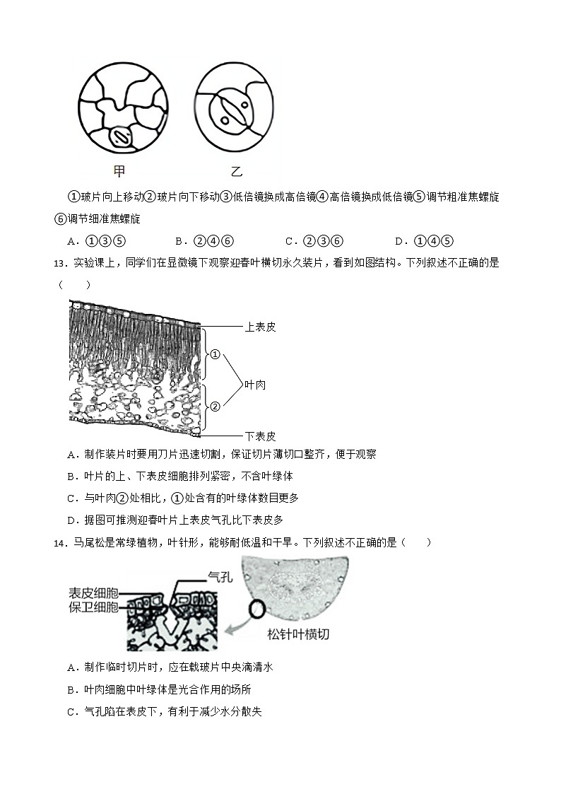 备考中考生物实验专项复习 观察叶片的结构解析版 练习03