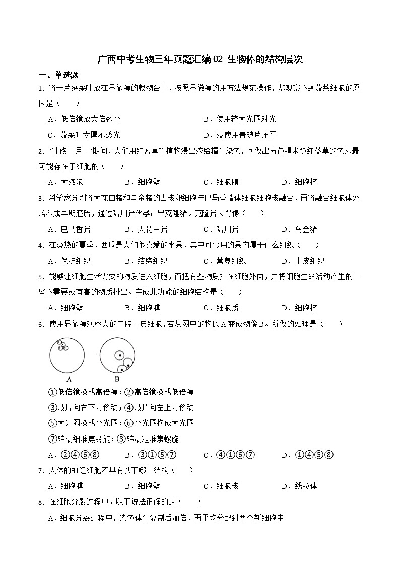 广西中考生物三年真题汇编 生物体的结构层次解析版01