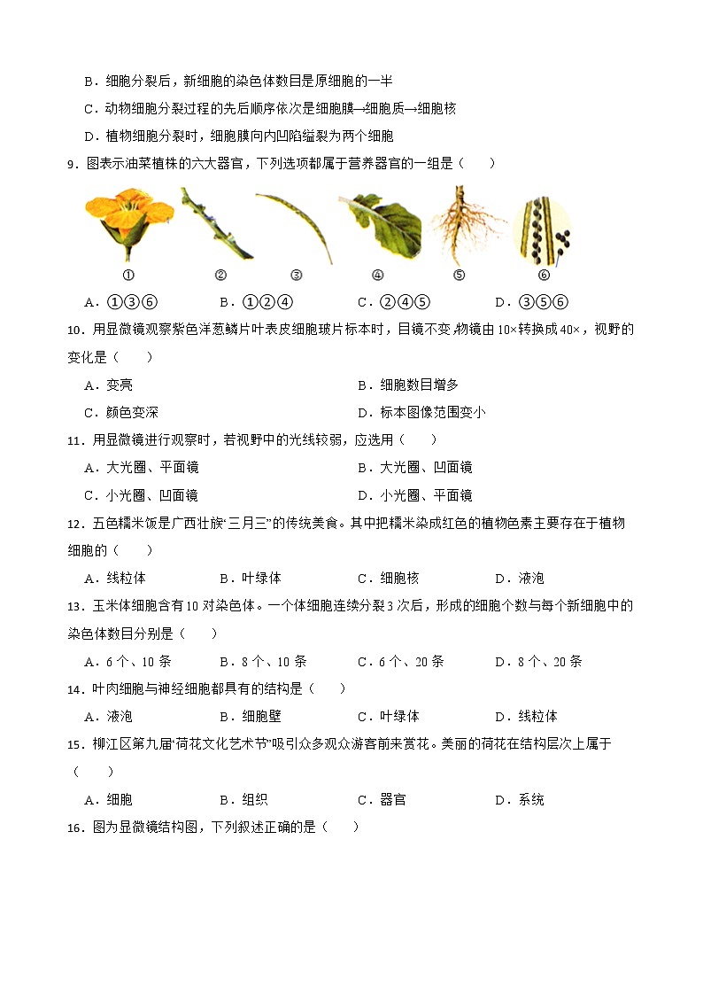 广西中考生物三年真题汇编 生物体的结构层次解析版02