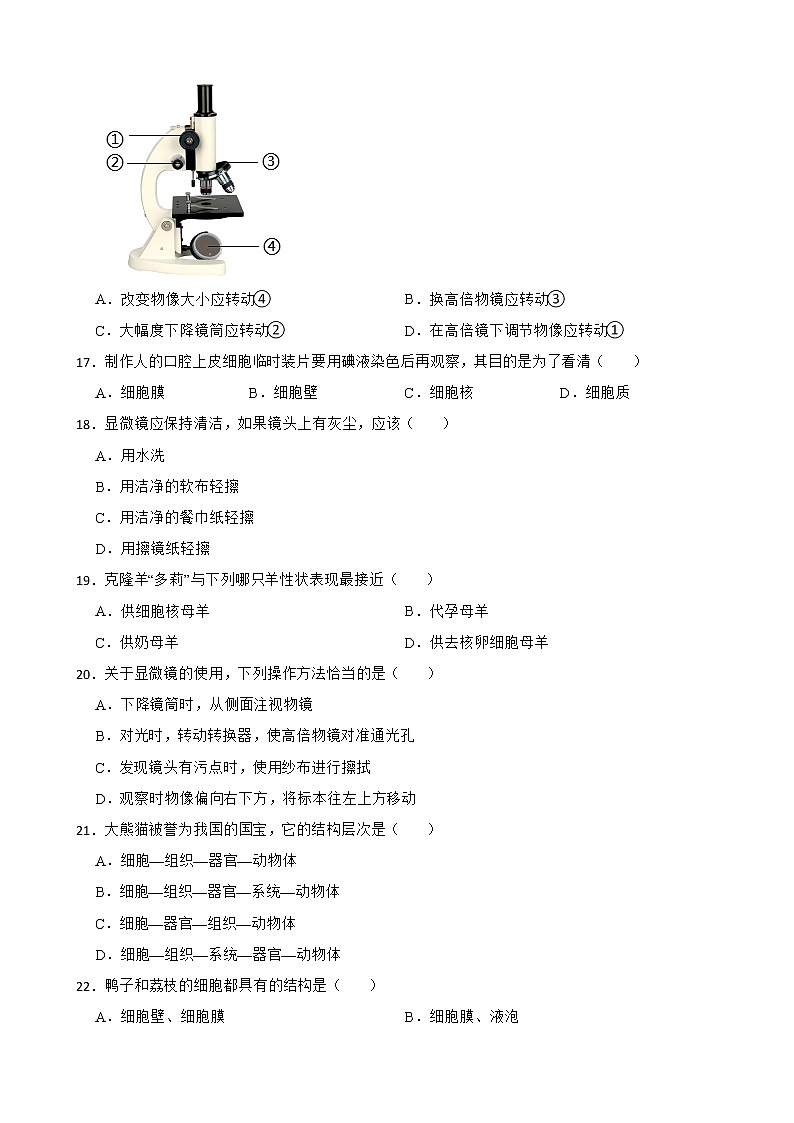 广西中考生物三年真题汇编 生物体的结构层次解析版03