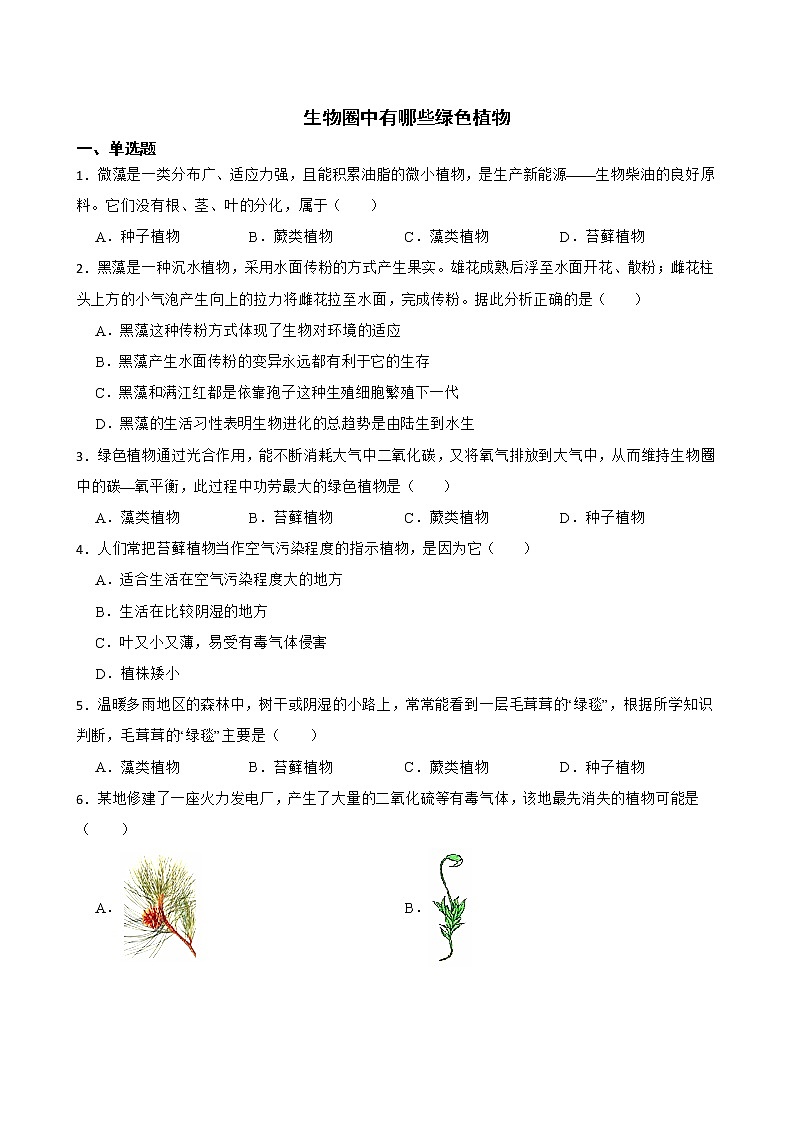 备考中考生物专题 生物圈中有哪些绿色植物解析版01