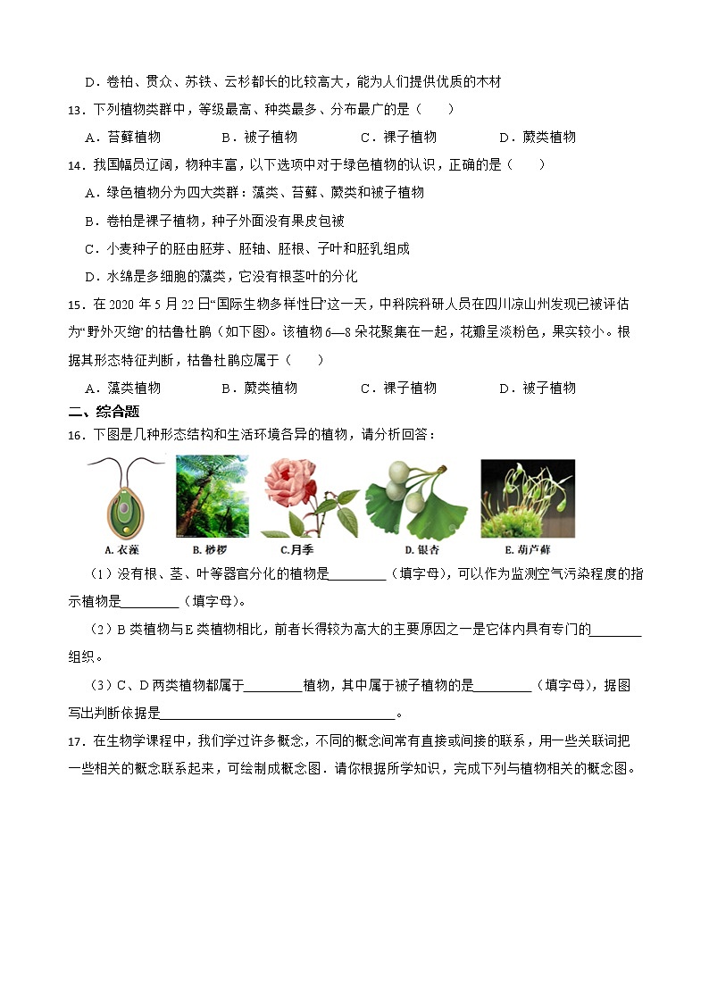 备考中考生物专题 生物圈中有哪些绿色植物解析版03