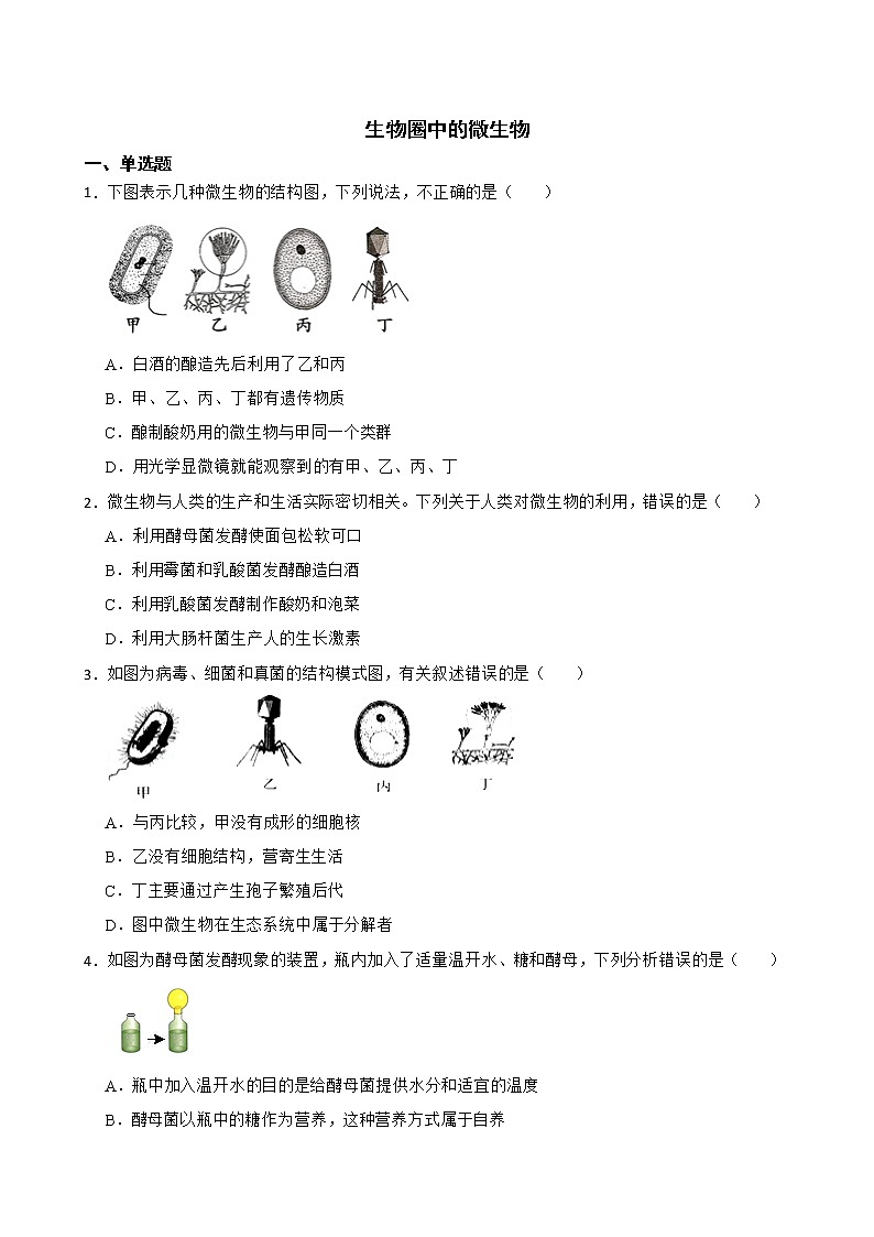 2021年山东省中考生物真题汇编 生物圈中的微生物解析版01
