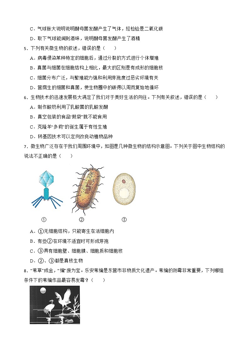 2021年山东省中考生物真题汇编 生物圈中的微生物解析版02