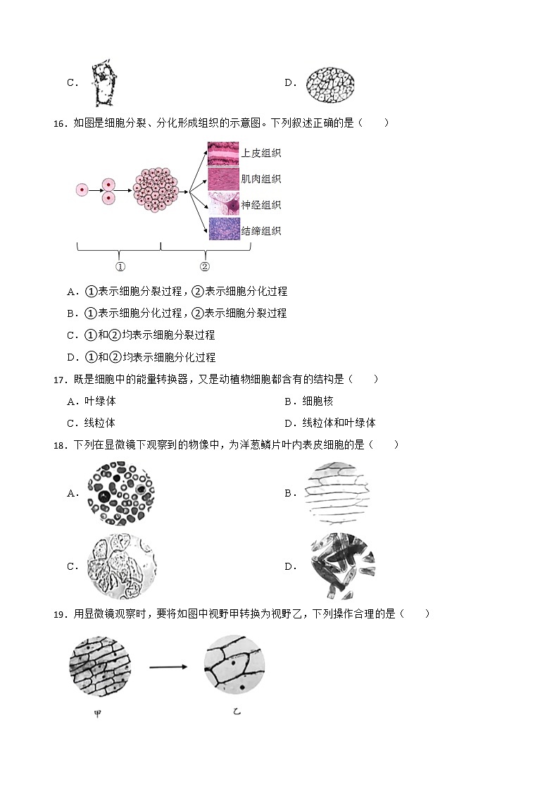 广东省中考生物三年真题汇编 生物体的结构层次解析版第3页