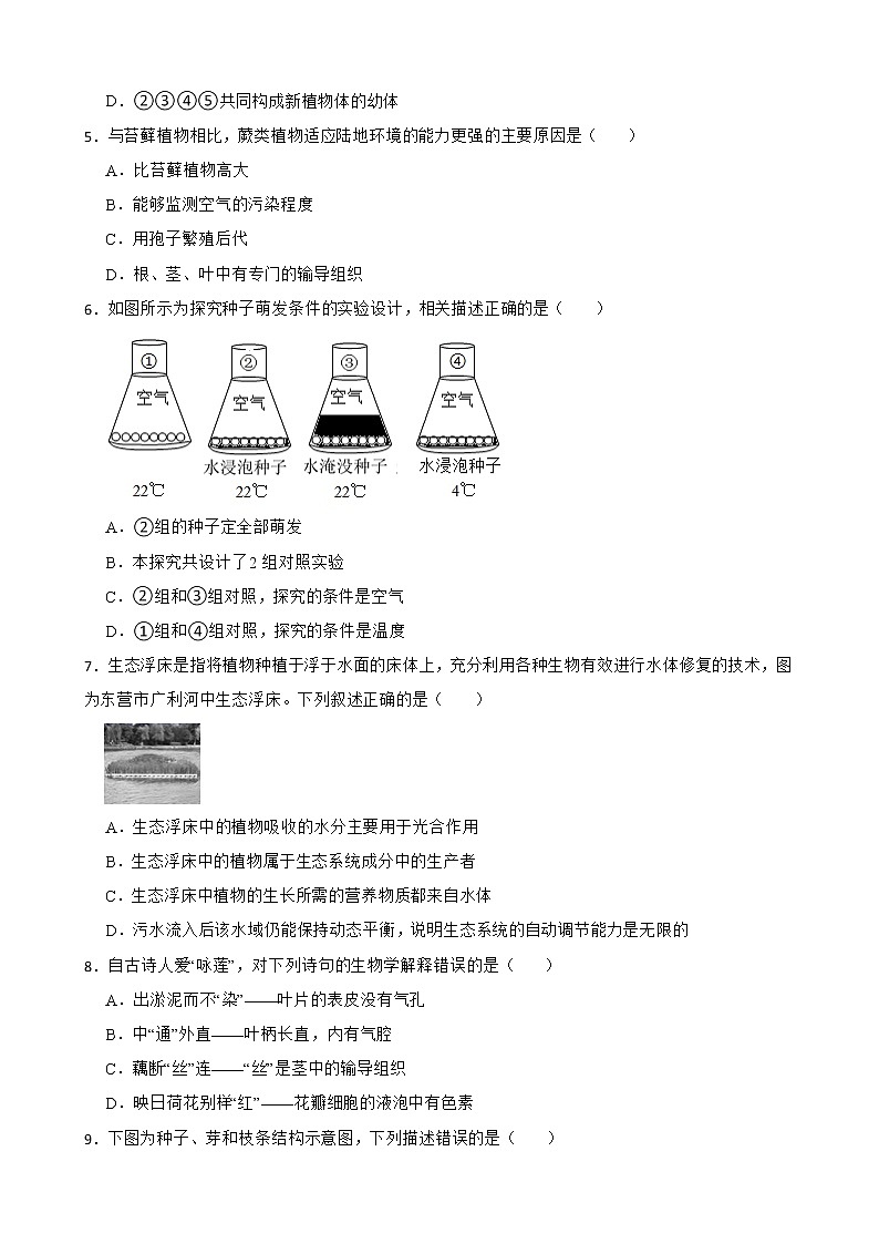2021年山东省中考生物真题汇编 生物圈中的绿色植物解析版02