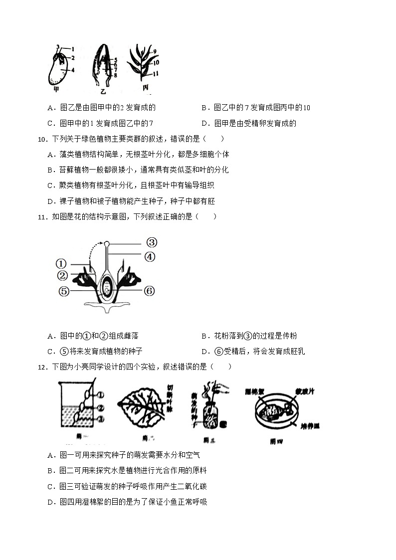 2021年山东省中考生物真题汇编 生物圈中的绿色植物解析版03