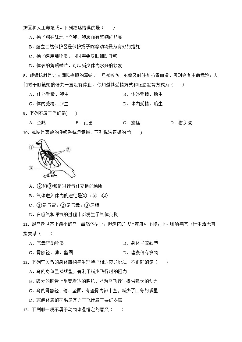 备考2022年中考生物专题 动物的主要类群解析版第2页