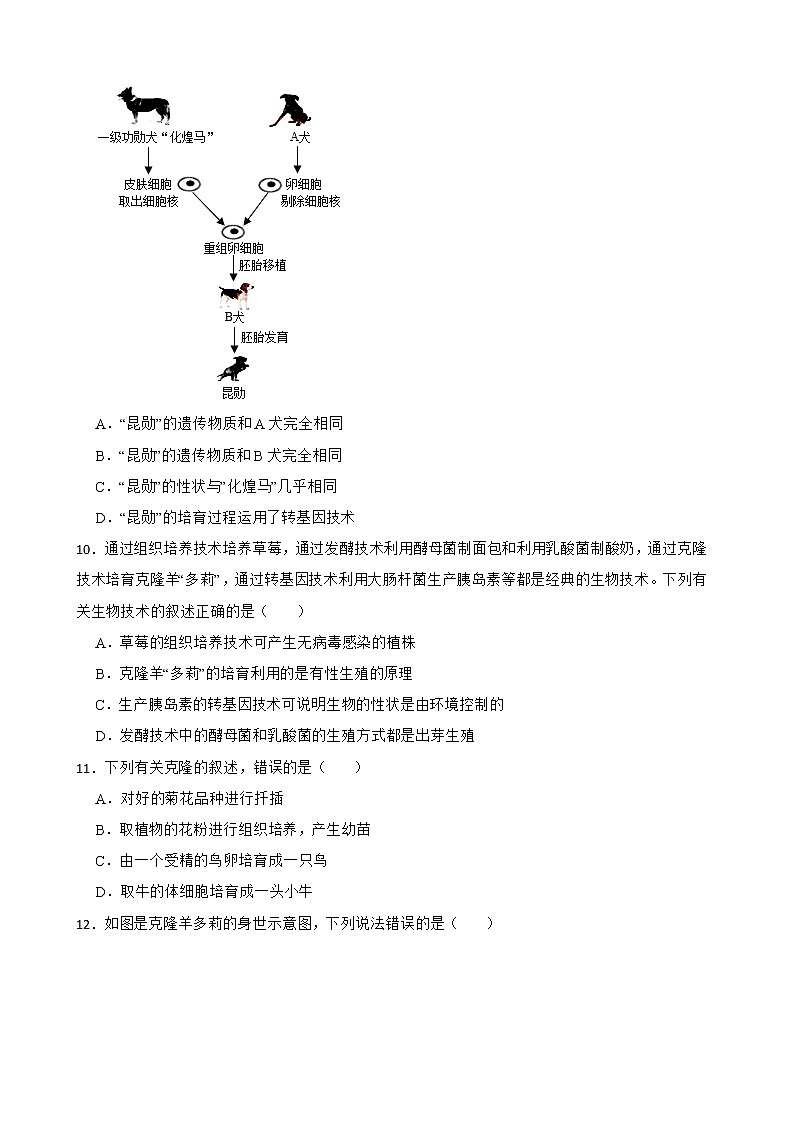 备考2022年中考生物专题 生物技术解析版第3页