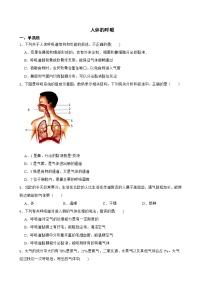 备考中考生物专题 人体的呼吸解析版