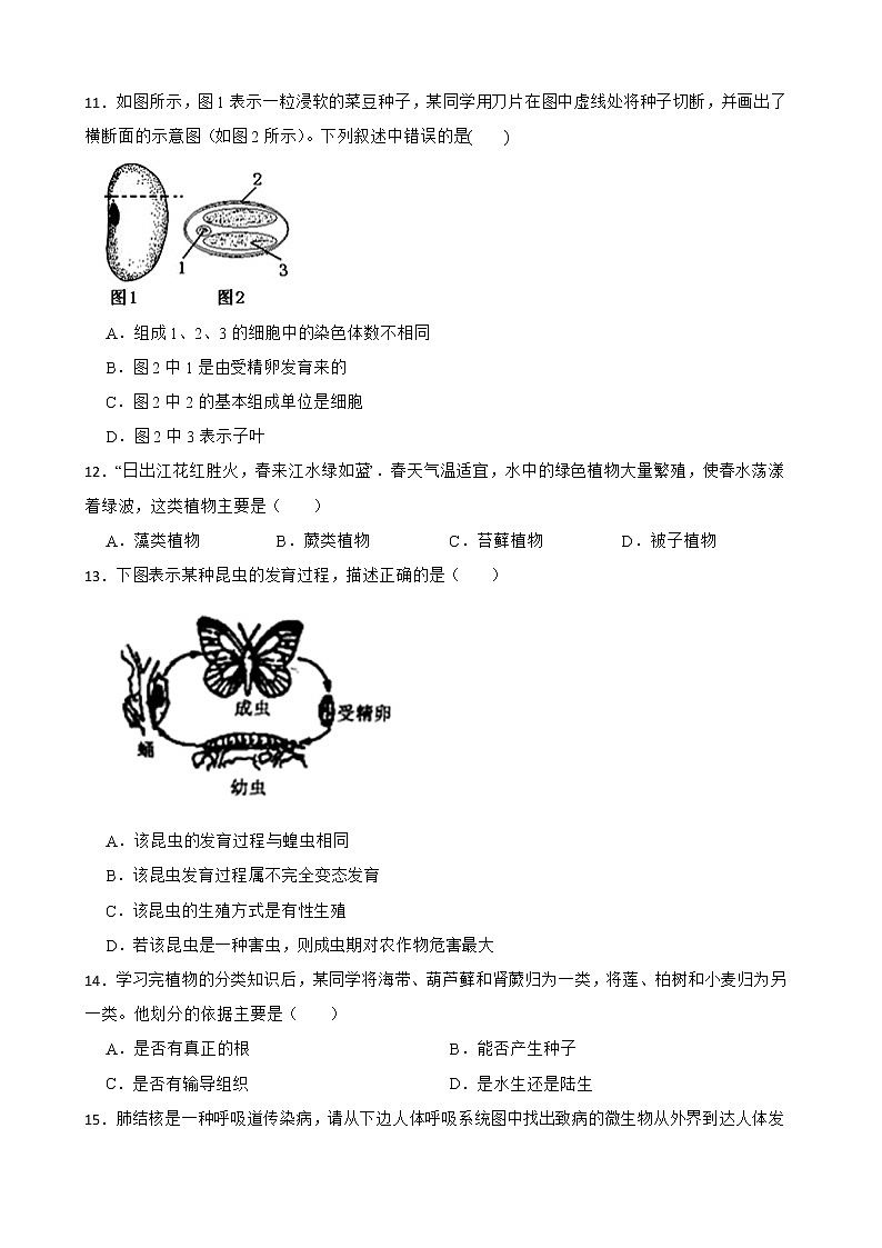 广西贺州市中考模拟测试生物试卷解析版03