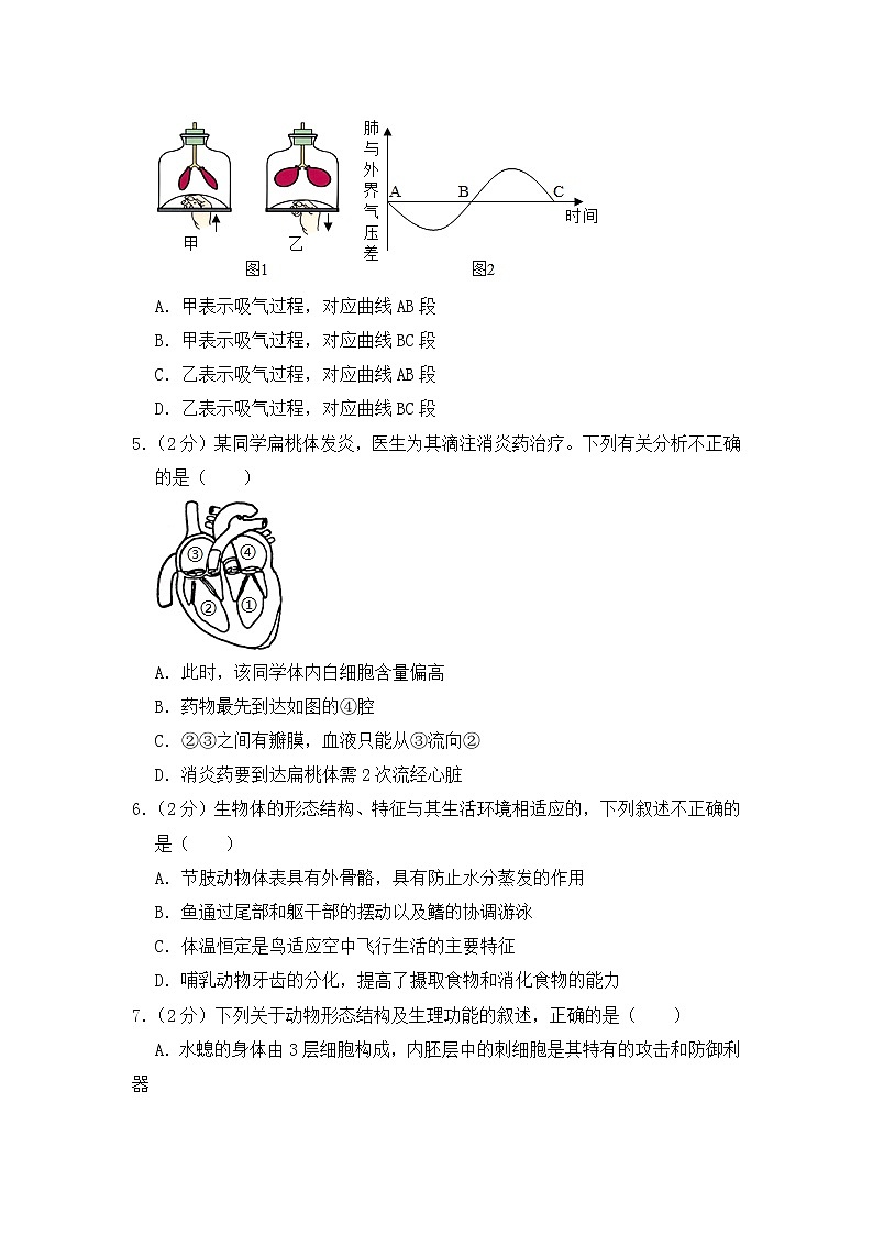 人教版生物七年级下册  期末模拟试卷2（含答案）02