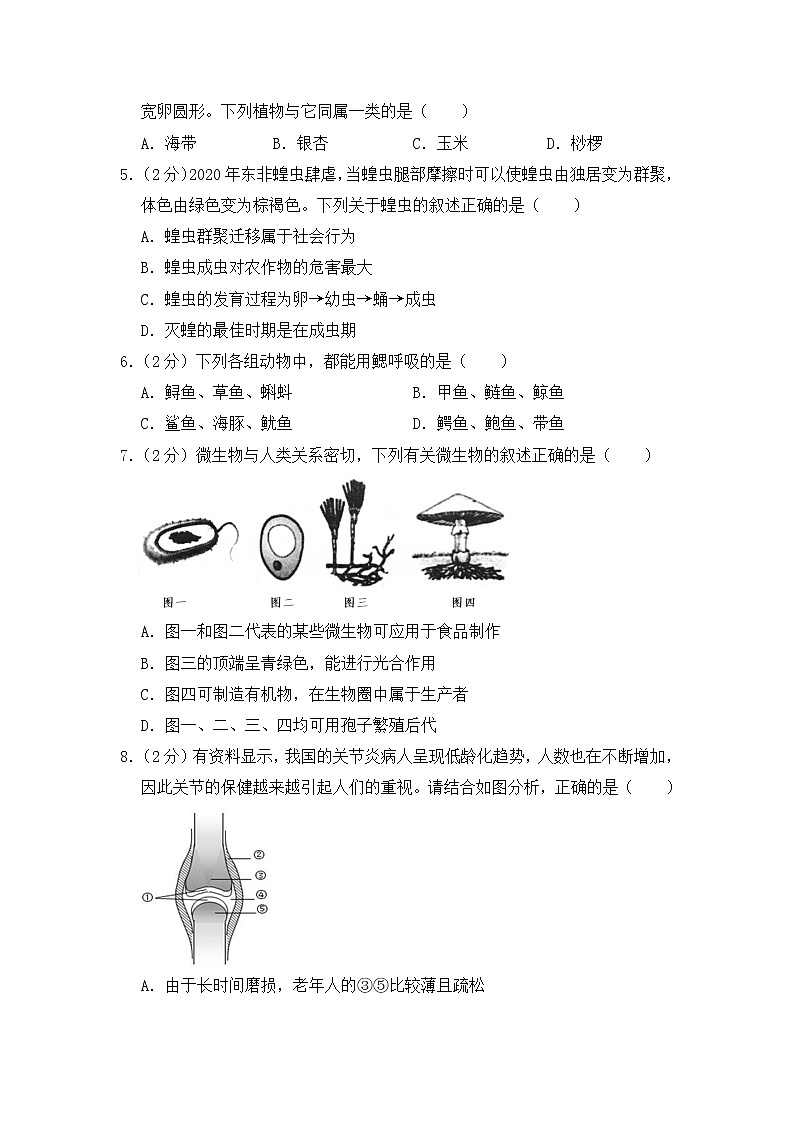 人教版生物七年级下册  期末模拟试卷3（含答案）02