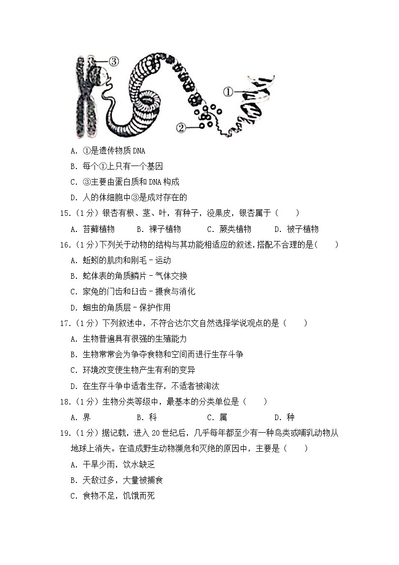 人教版生物七年级下册  期末模拟试卷7（含答案）03