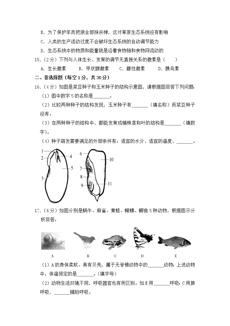 人教版生物七年级下册  期末模拟试卷8（含答案）03