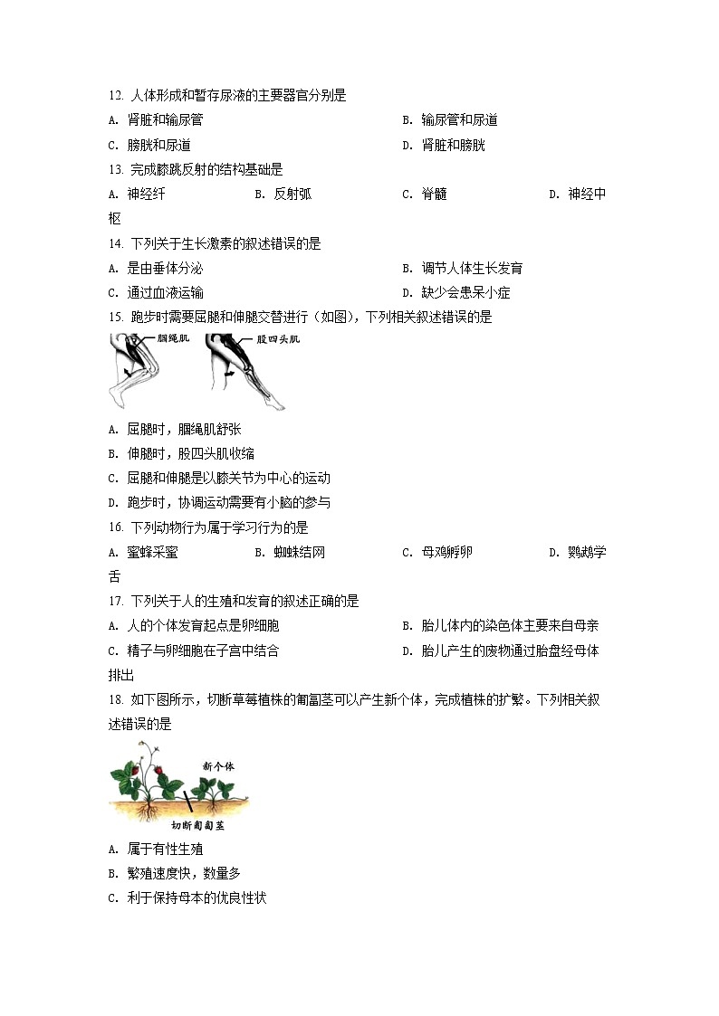 2022年北京市石景山区八年级二模生物试题（含详解）第3页