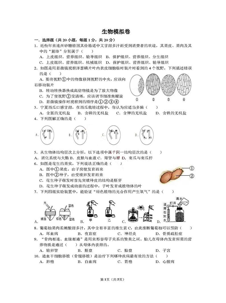 2022年辽宁省沈阳市沈河区中考模拟考试生物试题三（含答案）第1页