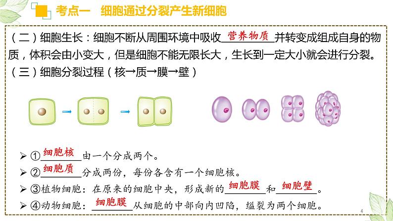 专题03 细胞怎样构成生物体（上课用课件）一轮复习课件04