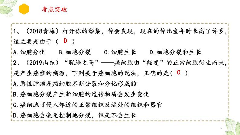 专题03 细胞怎样构成生物体（上课用课件）一轮复习课件07