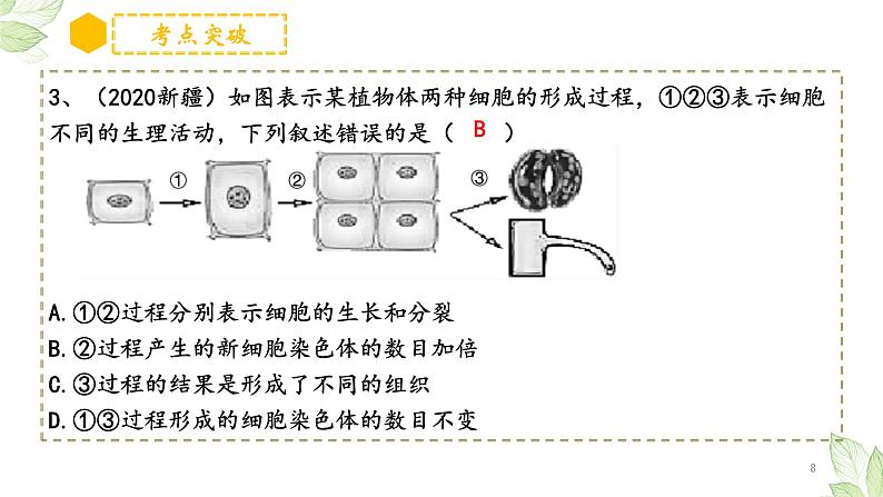 专题03 细胞怎样构成生物体（上课用课件）一轮复习课件08