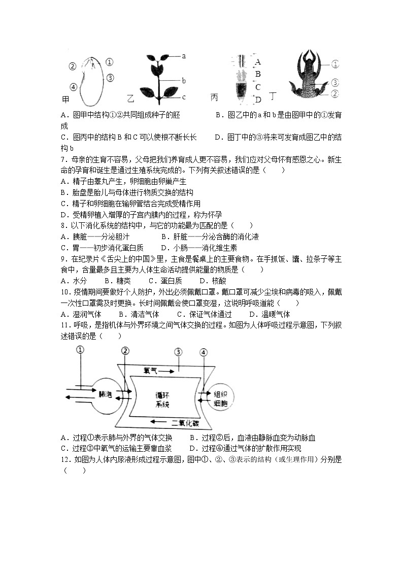 2022年山东省聊城市东阿县中考三模生物试题（含答案）第2页