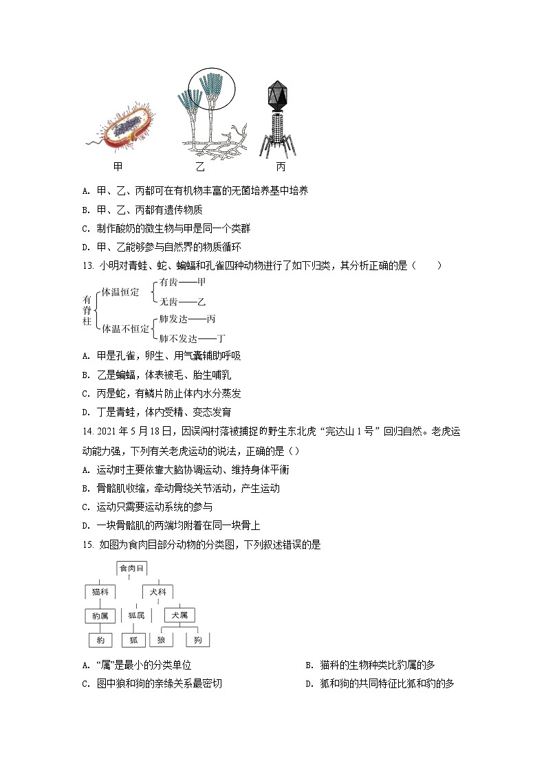 2022年河南省南阳市唐河县三模生物试题（含答案）第3页