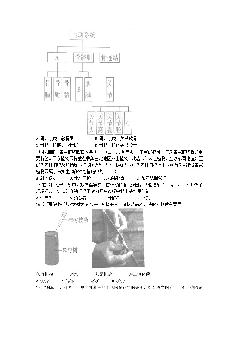 2022年辽宁省沈阳市和平区中考二模生物试题（无答案）03
