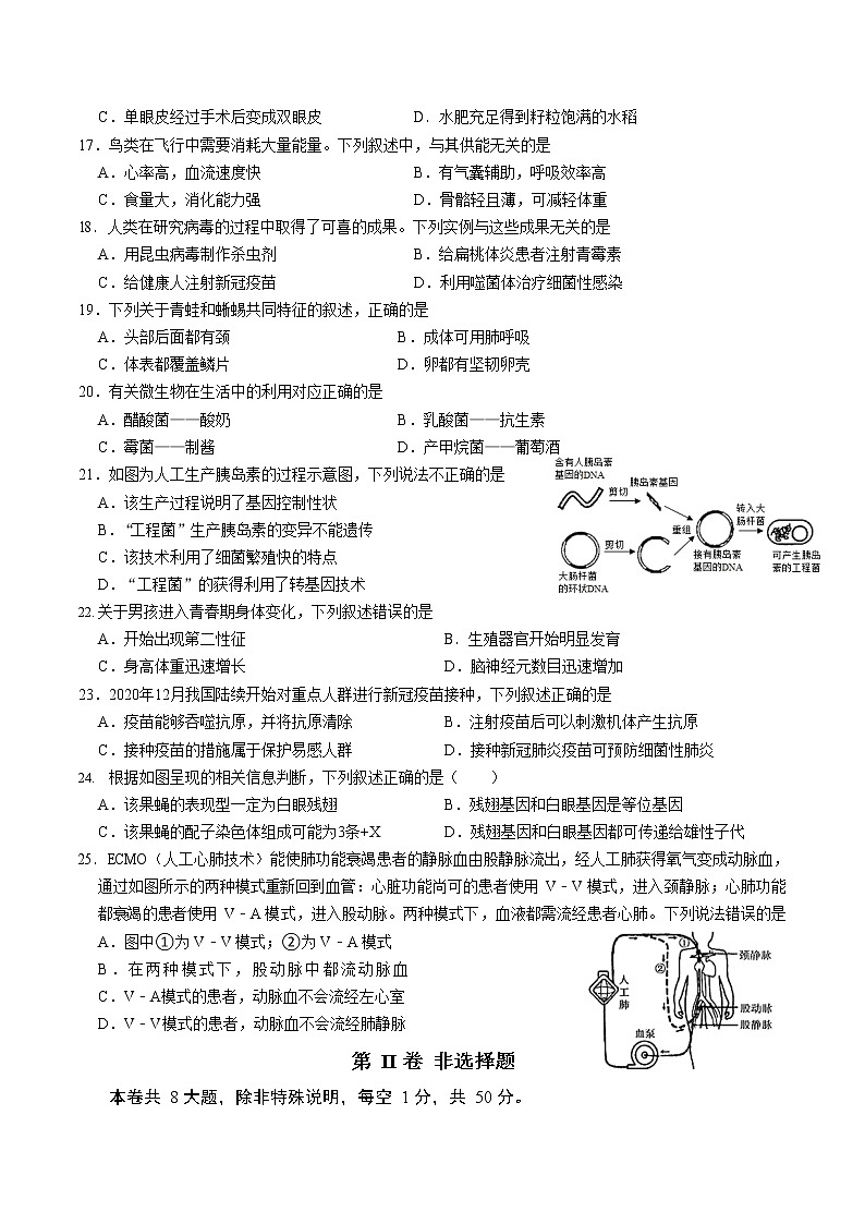 2022年福建省厦门市初中毕业年级适应性模拟练习（二）生物试题（无答案）第3页