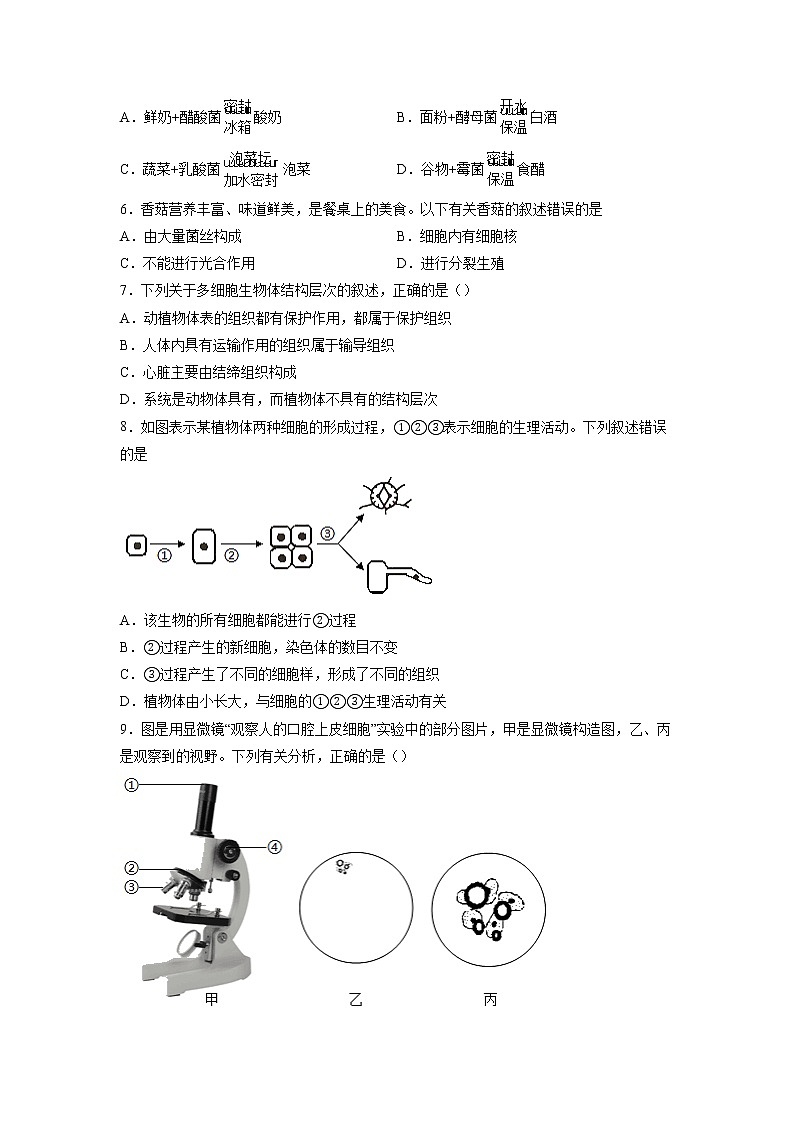 2022年山东省青岛市中考生物预测模拟试卷（含答案）第2页