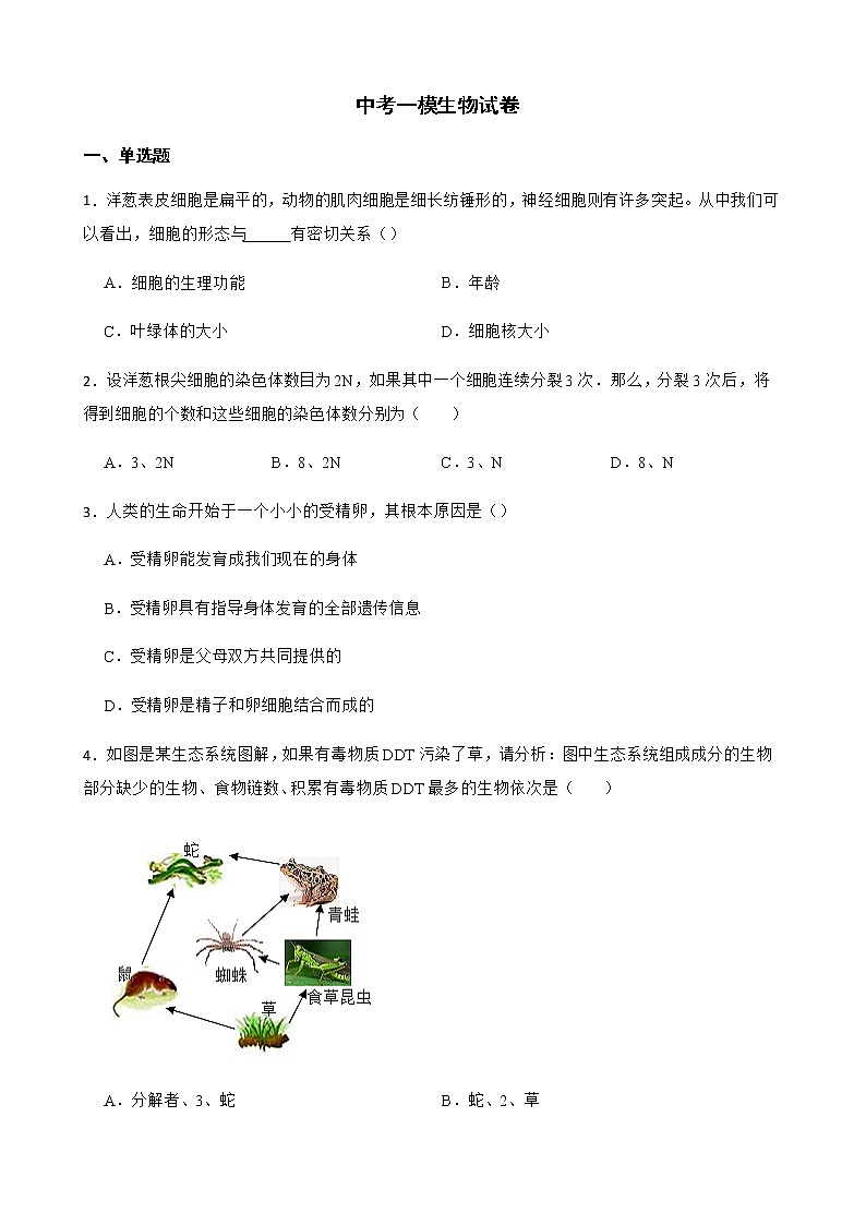 广东省湛江市2022年中考一模生物试卷及答案01