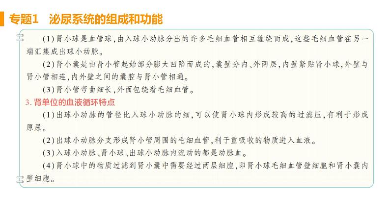 人教版生物七年级下册  第五章  人体内废物的排出（单元专题强化课件PPT）03