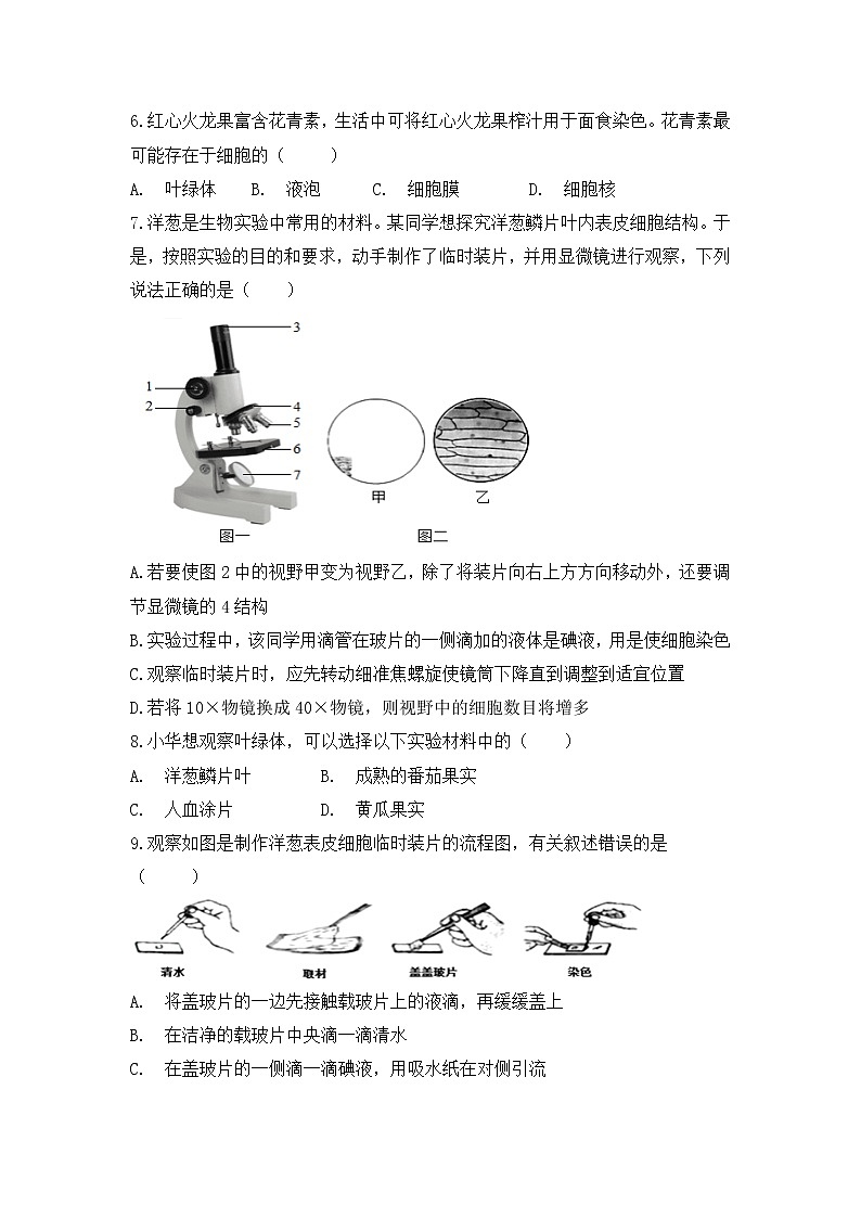 2.1.2《植物细胞》》同步练习第2页