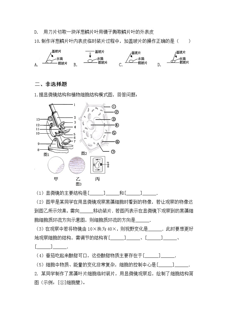 2.1.2《植物细胞》》同步练习第3页