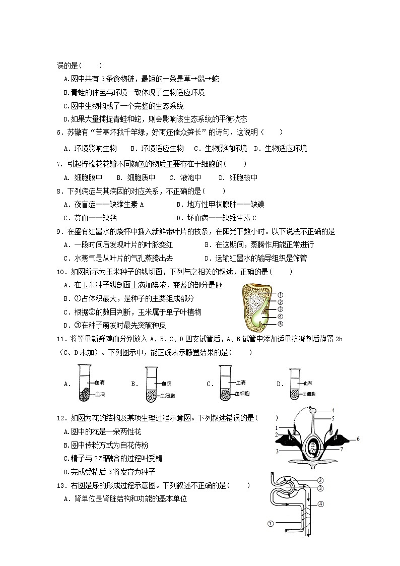 2022年广东省肇庆市鼎湖区初中学业水平模拟检测生物试题 (word版无答案)02