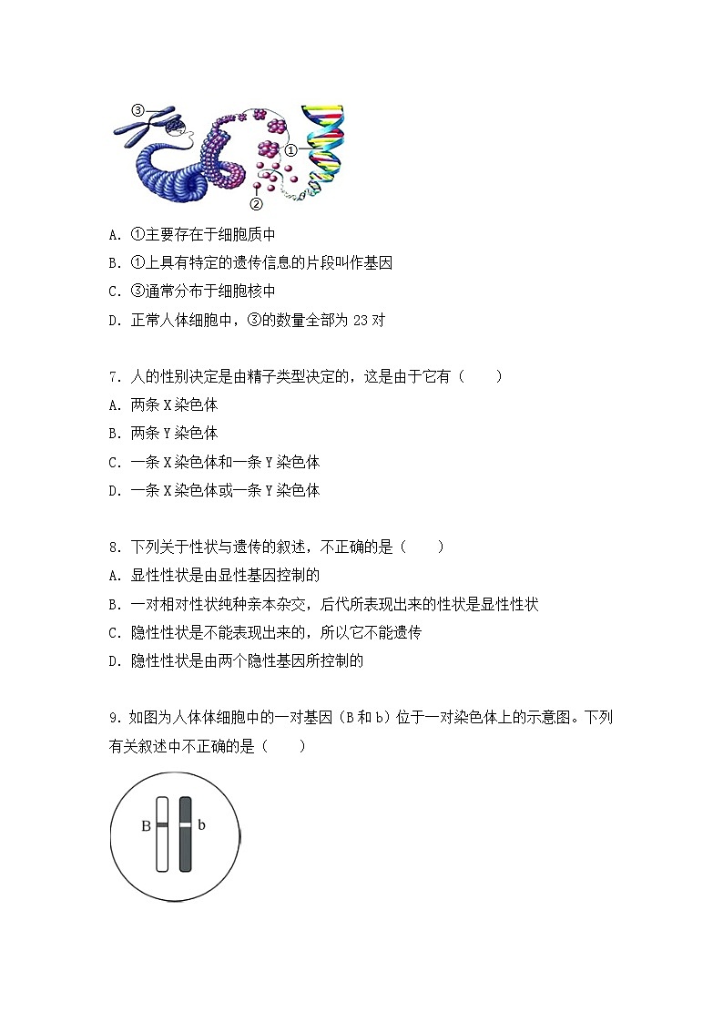 2022年黑龙江省生物中考模拟试卷（答案版） (3)第2页