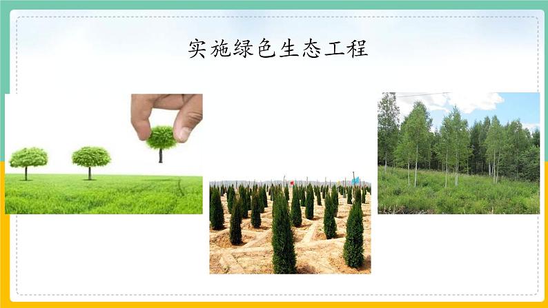 7.3我国的绿色生态工程》课件PPT第5页