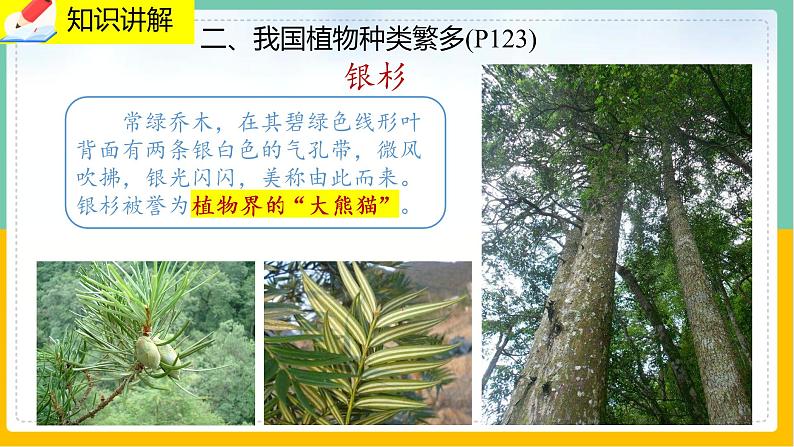 7.2《我国的植物资源》课件PPT+教案+同步练习07