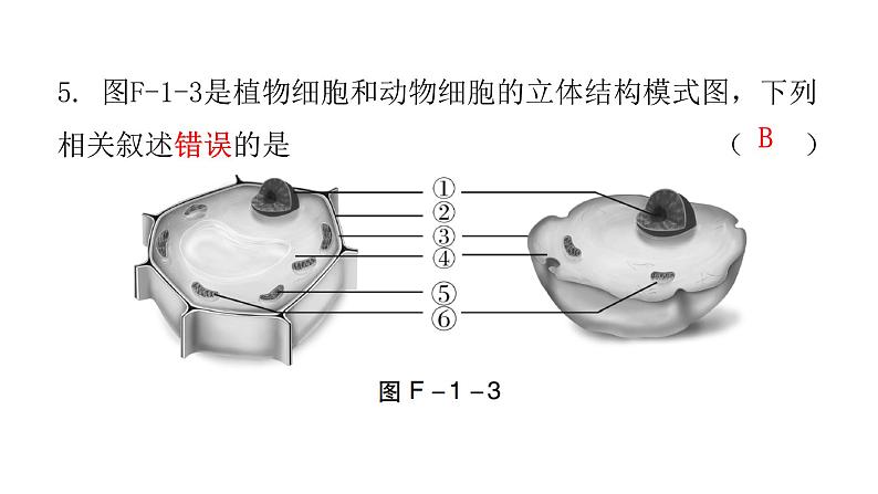 2022年广东省初中学业水平考试生物仿真试卷课件（一）（含答案）第6页