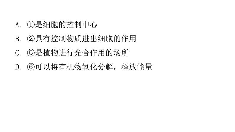 2022年广东省初中学业水平考试生物仿真试卷课件（一）（含答案）第7页