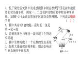 2022年广东省初中学业水平考试生物仿真试卷课件（二）（含答案）