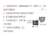 2022年广东省初中学业水平考试生物仿真试卷课件（二）（含答案）