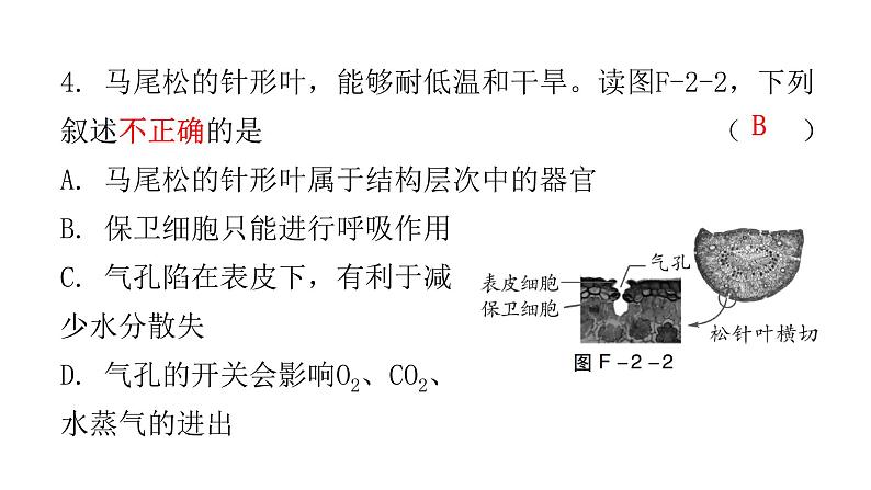 2022年广东省初中学业水平考试生物仿真试卷课件（二）（含答案）05