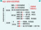 七年级下册知识默写-【临考必背】备战2022年中考生物知识点默写与背诵（人教版）