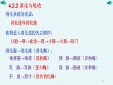 七年级下册知识默写-【临考必背】备战2022年中考生物知识点默写与背诵（人教版）