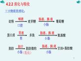 七年级下册知识默写-【临考必背】备战2022年中考生物知识点默写与背诵（人教版）
